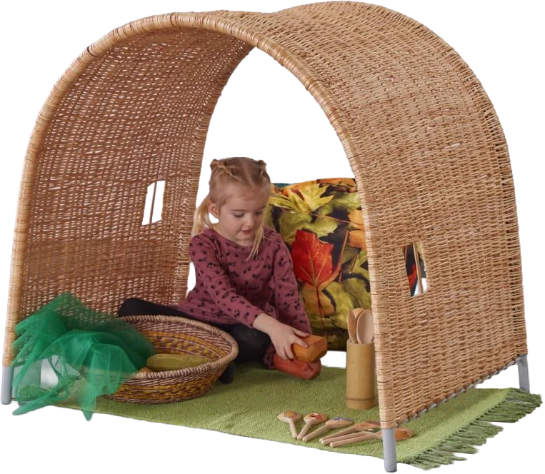 Curiosity-Inspired Learning Environments